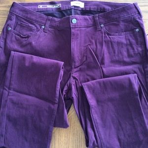 Sonoma Curvy Skinny 18 Plum Pants